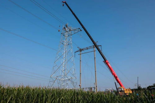 安陽供電公司 傾情服務重點民生工程，以人工裝卸服務答好災后重建電力答卷